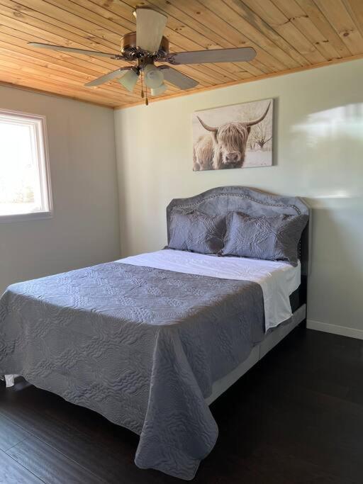 Family Friendly Cottage ☆Walking Distance To Beach Lion's Head Kültér fotó